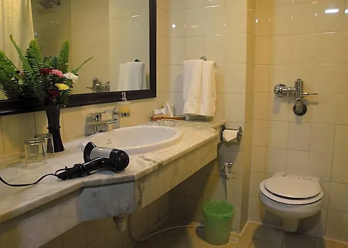 Vaishali Hotel 4*