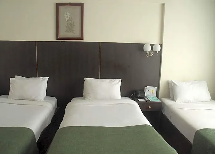 Vaishali 4* Kathmandu