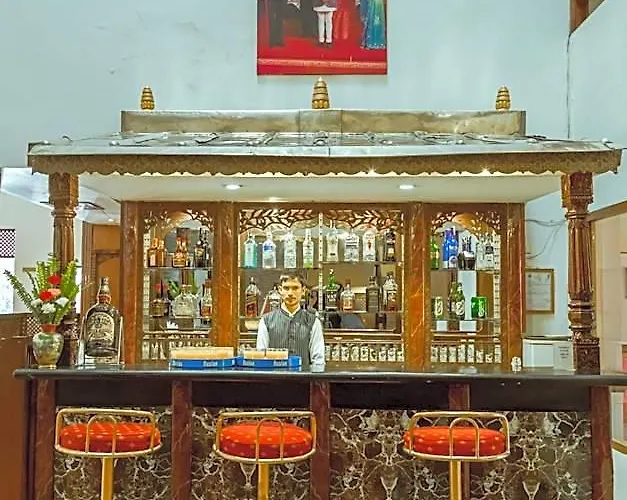 Hotel Vaishali 4*